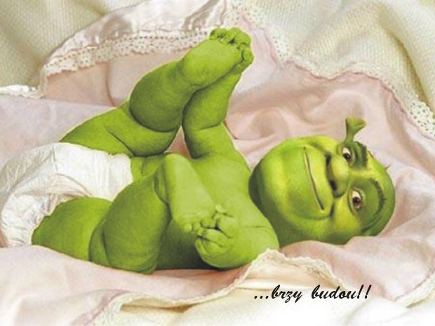 Shrek mimi.jpg