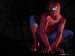 spiderman-med.jpg
