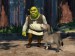 shrek.jpg